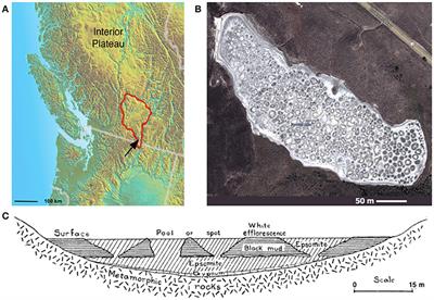 Microbial Diversity in a Hypersaline Sulfate Lake: A Terrestrial Analog of Ancient Mars